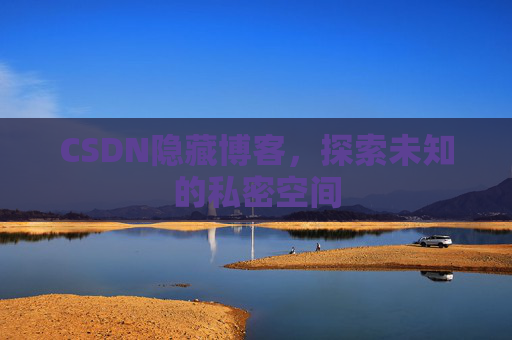 CSDN隐藏博客，探索未知的私密空间
